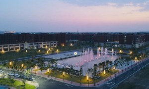 2026年郑州专升本通过率高的大专院校排名，软件专业实力盘点