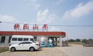 快乐小羊调味品储存方法有哪些
