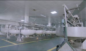 2026年评价高的非遗工艺香油生产厂家用户力荐