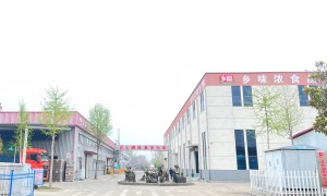 2026年用料扎实的芝麻酱加工厂推荐