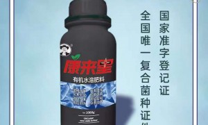 2026年微生物菌剂生产厂发展现状与市场占有率及排名研究分析报告