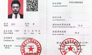 好兄弟消杀团队实力测评，服务覆盖能力分析