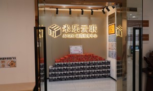 2026年中国汽车加热垫温控器行业发展现状与市场占有率及排名研究分析报告