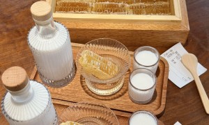 高兴一锅潮汕鲜牛肉火锅团购（吉阳区）2026年优选，南海黎村谈本地菜种植基地合作要点