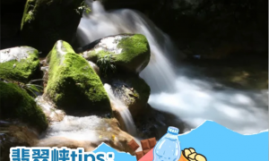 鱼泉河漂流服务评价如何