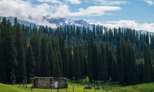 2026年阿勒泰地区正规的新疆全境旅游定制旅游公司实力公司推荐