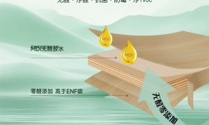 东莞全屋定制板材的好企业有哪些？广受信赖的源头生产厂家合作实力参考