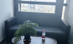 2026年股东资格确认民事诉讼律所推荐，公司业务方向专业服务商测评