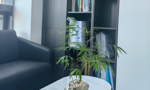 2026年正规的物业服务纠纷律师事务所客户真实体验口碑