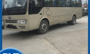 东莞靠谱的优质配驾包车带司机服务商企业全景分析