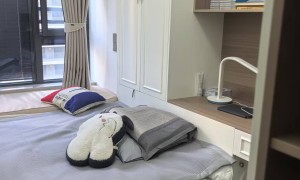 上海做柜体工艺有专利的全屋定制公司，用户力荐