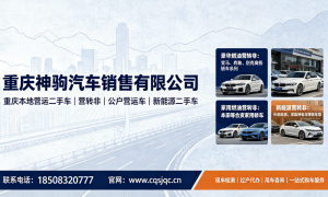 营转非新能源车销售哪家好，神驹汽车正规服务商，省心不踩坑