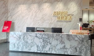 东鹏瓷砖在行业内口碑如何规模大吗