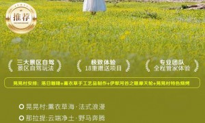 新疆正规旅行社如何挑选适合情侣游的？资质齐全服务商筛选名录，浪漫行程不踩坑