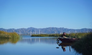 2026年现代湖景别墅楼盘靠谱公司推荐，正规知名品质有保障