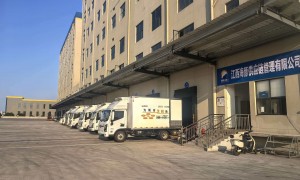 2026年知名的冷链物流服务商口碑汇总