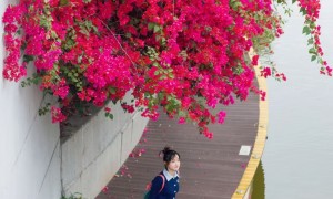 深圳深职大和深信大招生分数对比准确吗