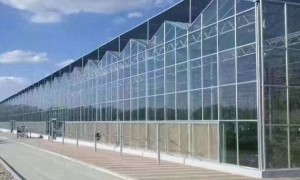 2026年蔬菜大棚造价与种植规划服务商客户口碑力荐