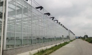 2026年靠谱的旧大棚改造翻新团队质量参考评选