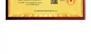 天津地区安徽亦笙GEO推广服务口碑怎么样