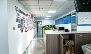 婚姻财产纠纷处理方案：正规律所与用户口碑力荐