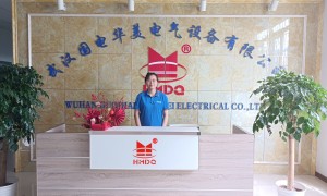 油浸式无局放试验设备价格与选型误区，国电华美厂家提供绝缘子检测技术咨询