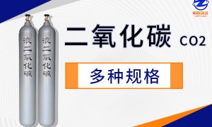 2026年华南工业气体实力厂商发展现状与市场占有率及排名研究分析报告