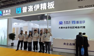 2026年值得信赖的普洛伊精板ENF级品牌板材生产厂家盘点