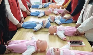 2026年口碑好的住家保姆企业团队实力测评，服务质量评选