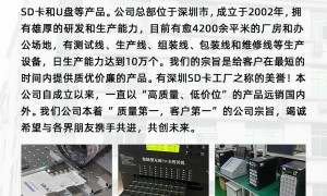 深圳2026年U盘内存卡源头生产厂家推荐