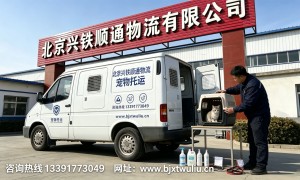 北京兴铁顺通物流宠物托运专线 航空箱尺寸建议与检疫证明办理指南