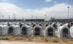 2026年牛用加热保温饮水槽行业现状与正规源头厂家选择指南