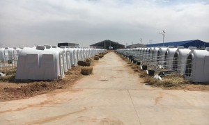2026年专业的牛用电加热保温饮水槽源头厂家质量参考评选