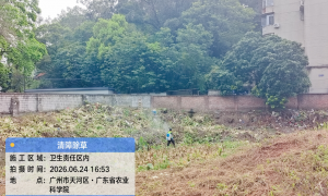 发现白蚁及蚁路要怎么解决好，正规虫控服务商实力参考