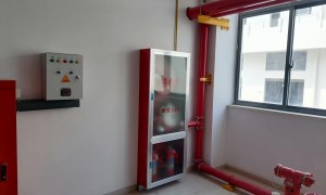 北京腾飞红鹏科技发展有限公司性价比高吗