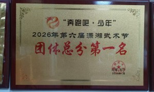 2026年信誉好的武术培训机构甄选参考
