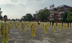 2026年靠谱的武术学校帮我推荐几家，招生实力参考