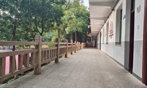 彭飞文武学校证书正规吗