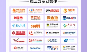 孙策网络GEO优化页面优化年度盘点：技术参数、应用场景与商家服务能力全解析
