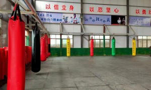 2026年知名的武术文武学校就业安排机构行业全景分析