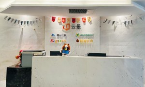 2026年不错的朋友圈广告服务商筛选名录，口碑公司汇总