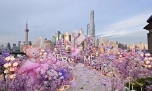 迪士尼主题求婚策划服务商，上海这家细节还原度高