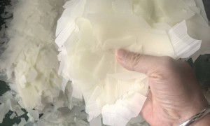 浙江2026年用户力荐的纺织平滑软片厂家，支持免费寄样和小单