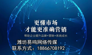 潍坊AI意向客户挖掘服务商筛选名录