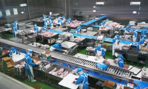 石家庄本地羊肉批发商家有哪些，草原鸿泰肉业行业全景参考