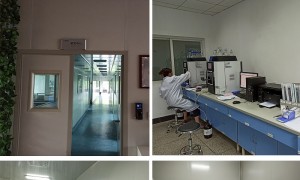 2026年江苏肽实力厂商实力与用户口碑