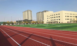 2026年口碑好的塑胶跑道工程队实力参考