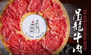 河南供应链靠谱的老火锅加盟品牌有什么，2026年北方市场开店服务商深度测评