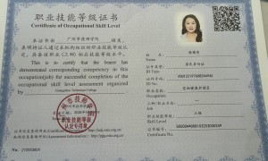 湘潭市宠物美容培训选哪家 靠谱机构不踩坑指南