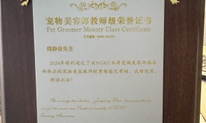 长沙宠物美容学校推荐：秀怡宠美教育提供小班制跟手教学
